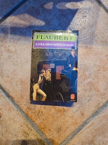 Livre "Flaubert l'éducation sentimentale"