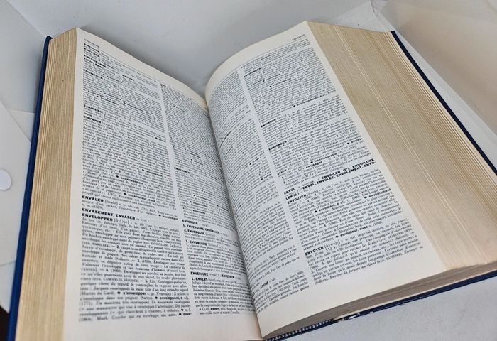 Dictionnaire de la langue Française.
Lexis.
Larousse.
En l'état. - photo numéro 9