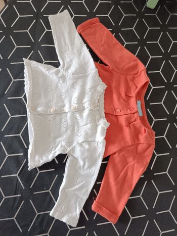 Lot de gilets