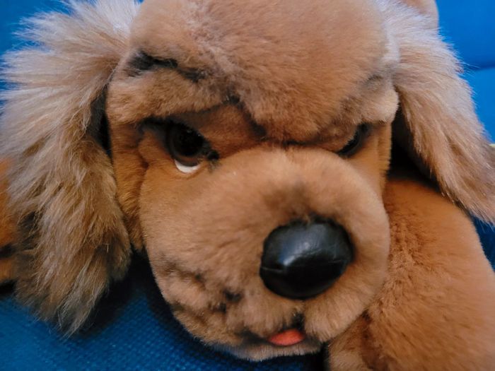 RARE Peluche ancienne Chien couché collier Steiff doudou brun marron langue collection 40cm - photo numéro 8