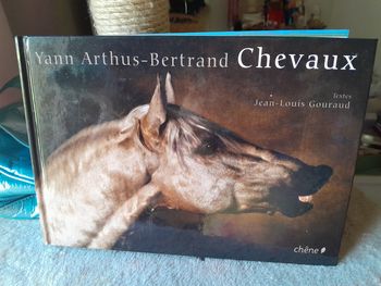 Chevaux de yann Arthus Bertrand 