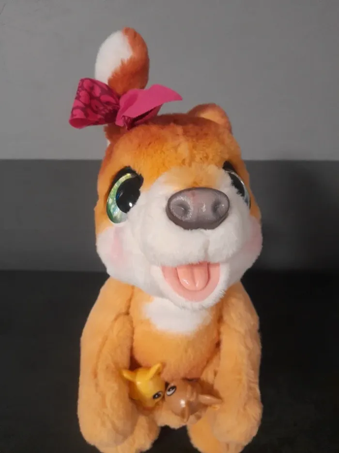 Kangourou interactif - photo numéro 2