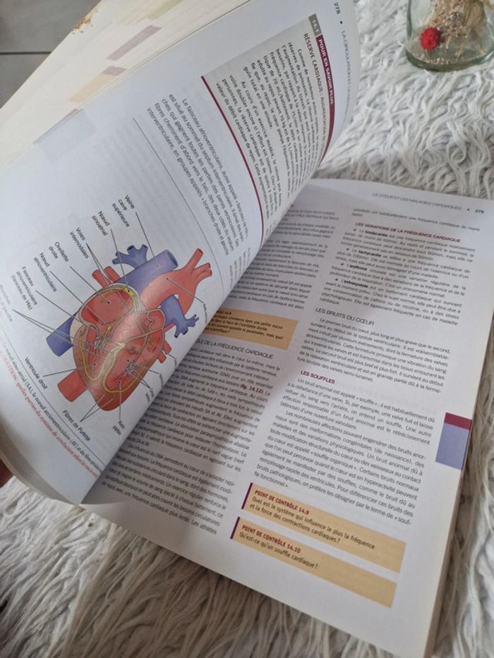 Livre Structure et fonctions du corps humain - photo numéro 2