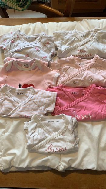 Lot de 7 bodies manche courte 6 mois