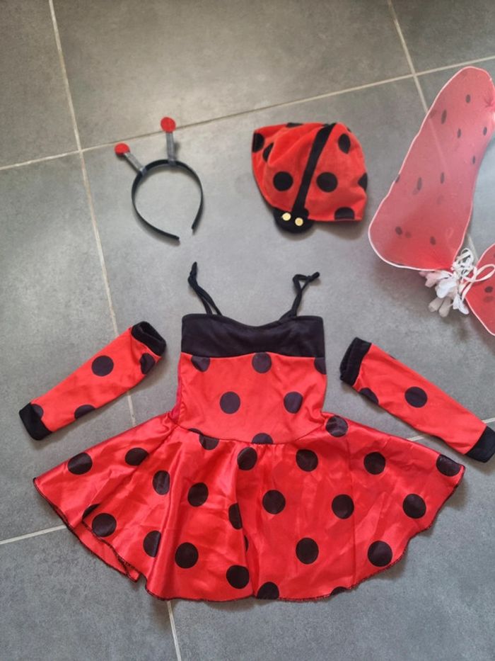 Déguisement de coccinelle - photo numéro 2