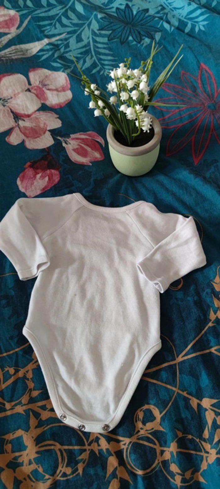 Bodie 1 Mois(Mixte) - photo numéro 3