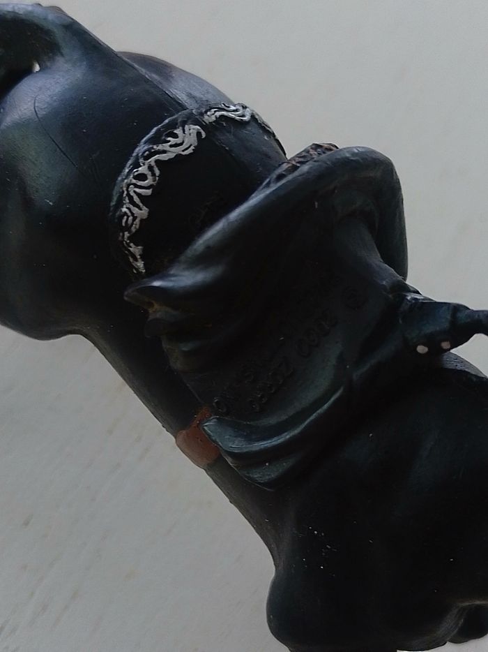 Cheval de zorro - photo numéro 2