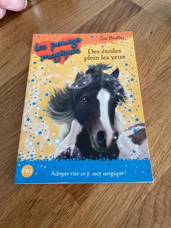 Roman enfant Les poneys magiques