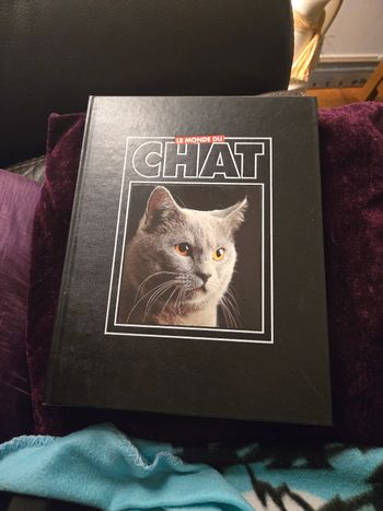 Le monde du chat n°8