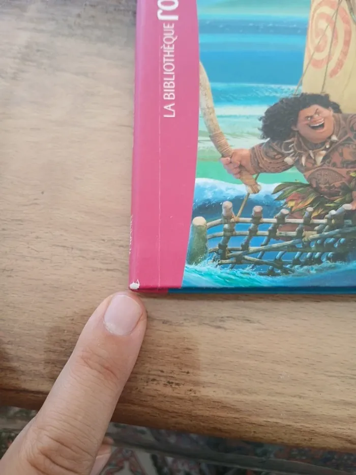 Vaiana la légende du bout du monde le roman du film - photo numéro 3