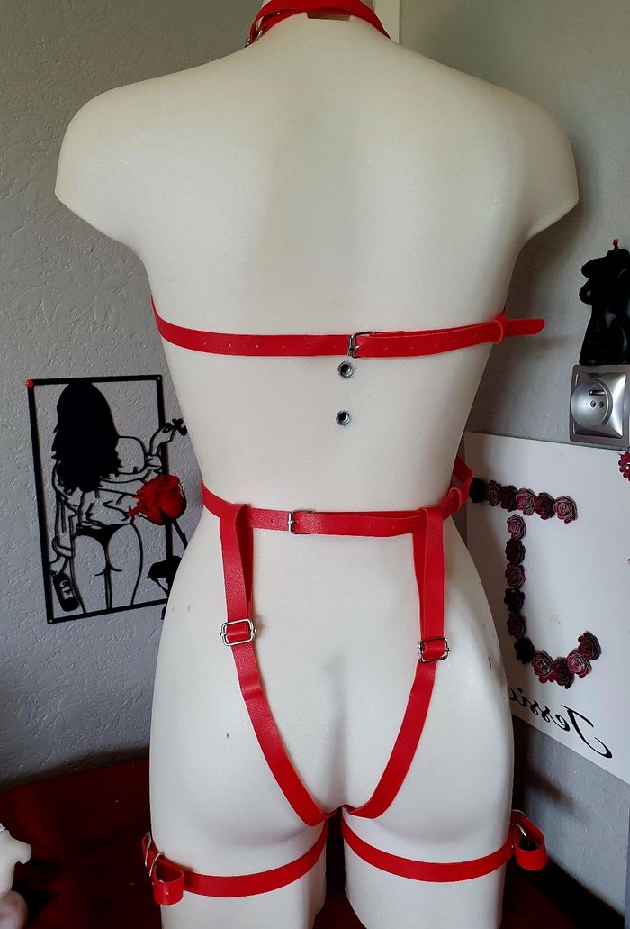 Ceinture de corps intégrale rouge festival bondage bdsm costume - photo numéro 3