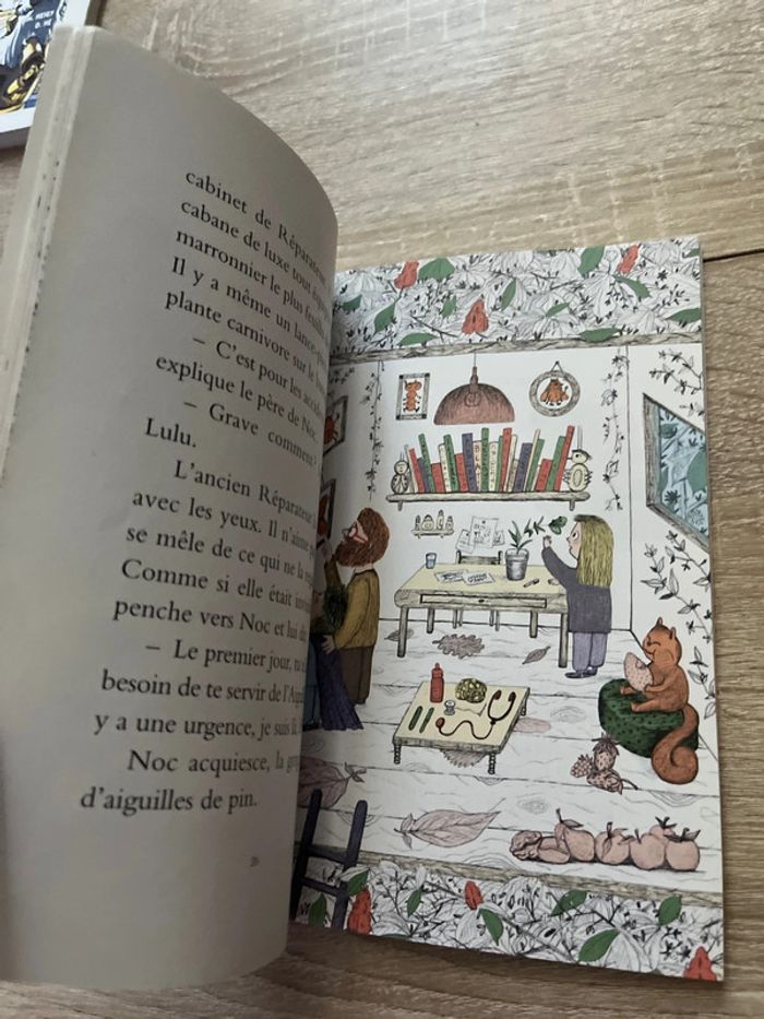 Livre Le petit réparateur d’insectes - photo numéro 3