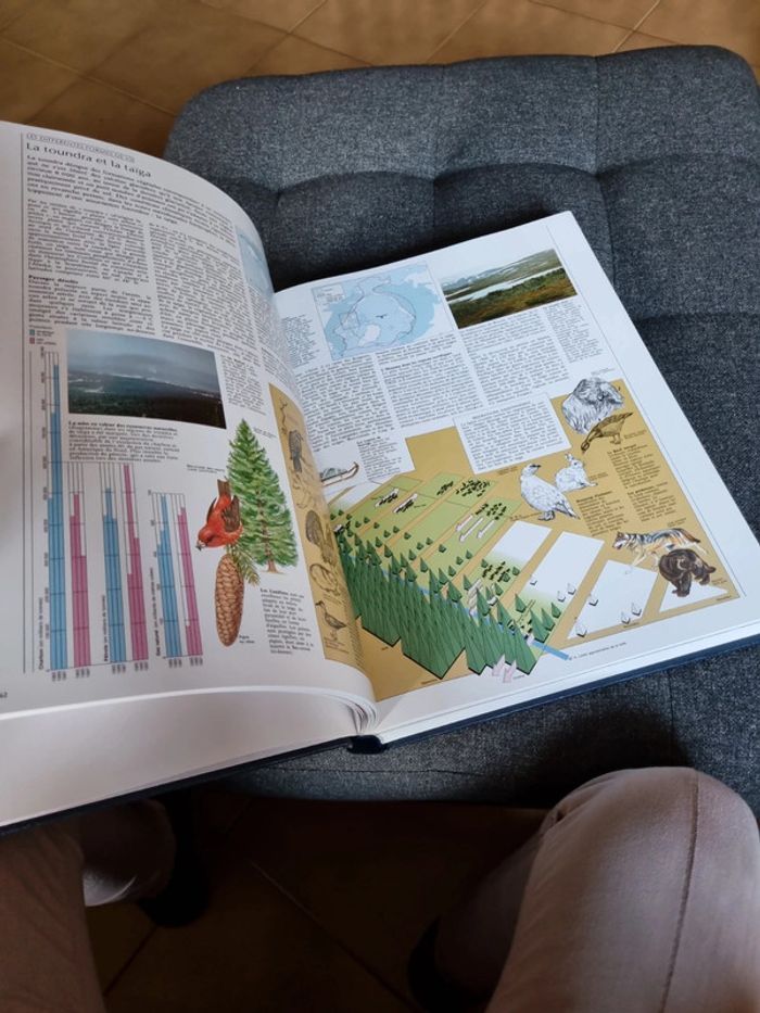Livre géographie - photo numéro 3
