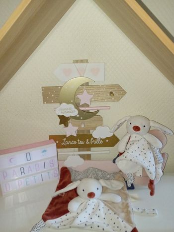 Lot de 2 doudous lapins obaïbi identiques 