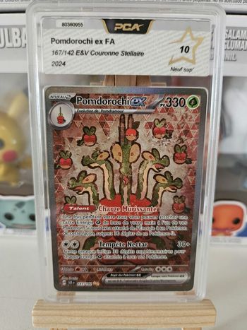 Pomdorochi 167/142 PCA10