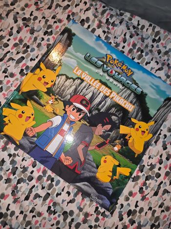 Livre : Pokemon les voyages, la vallée des pikachu