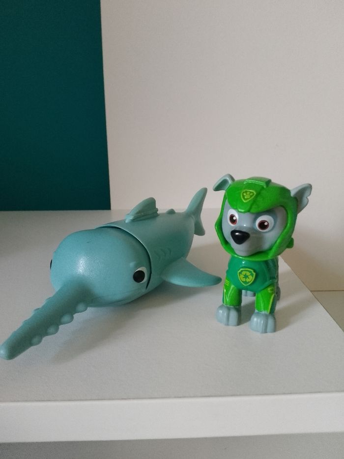 Rocky aqua pups