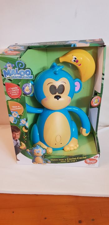 Maloo joue a cache cache