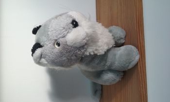 petite peluche lion