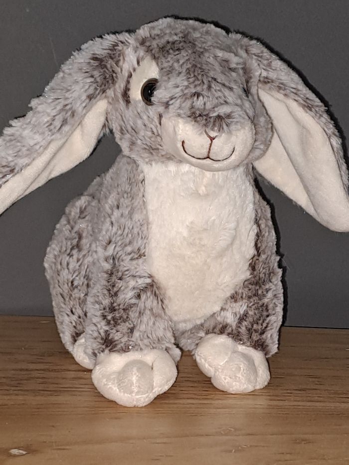 Lapin tout doux - photo numéro 3