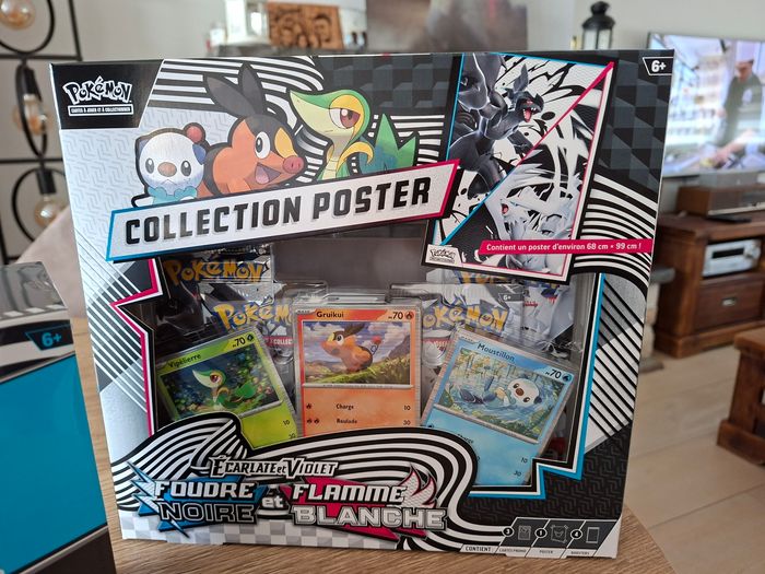 Pokémon 10.5 noire et blanc - photo numéro 4