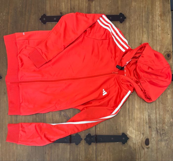 Veste Adidas jamais portée