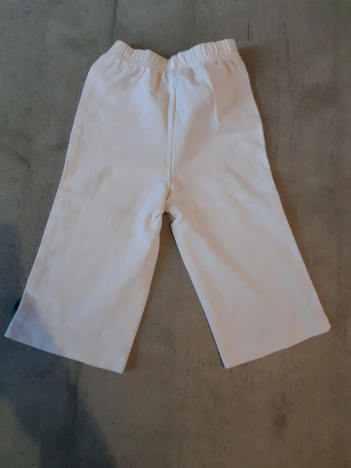 Pantacourt - photo numéro 2