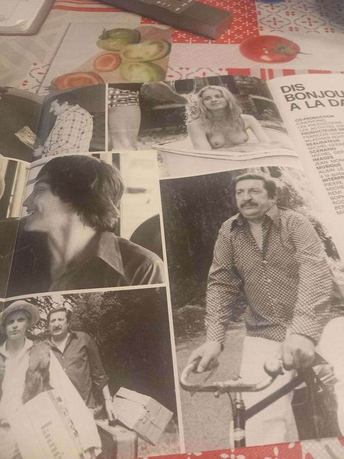 Affiche et synopsis du film : Dis bonjour à la dame - photo numéro 5