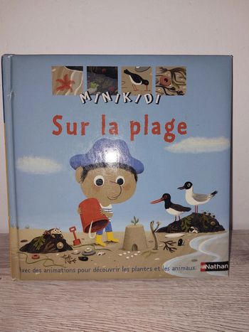 Livre minikidi sur la plage