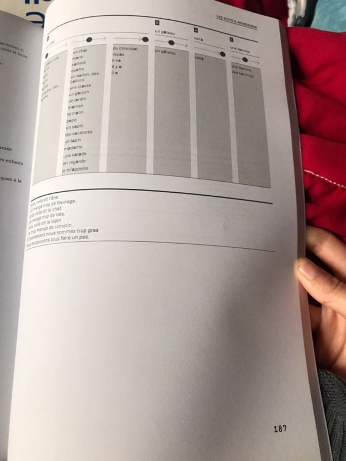 J’entends, je vois, j’écris - Des outils pour la maîtrise de l’orthographe au CP et au CE1 - photo numéro 7