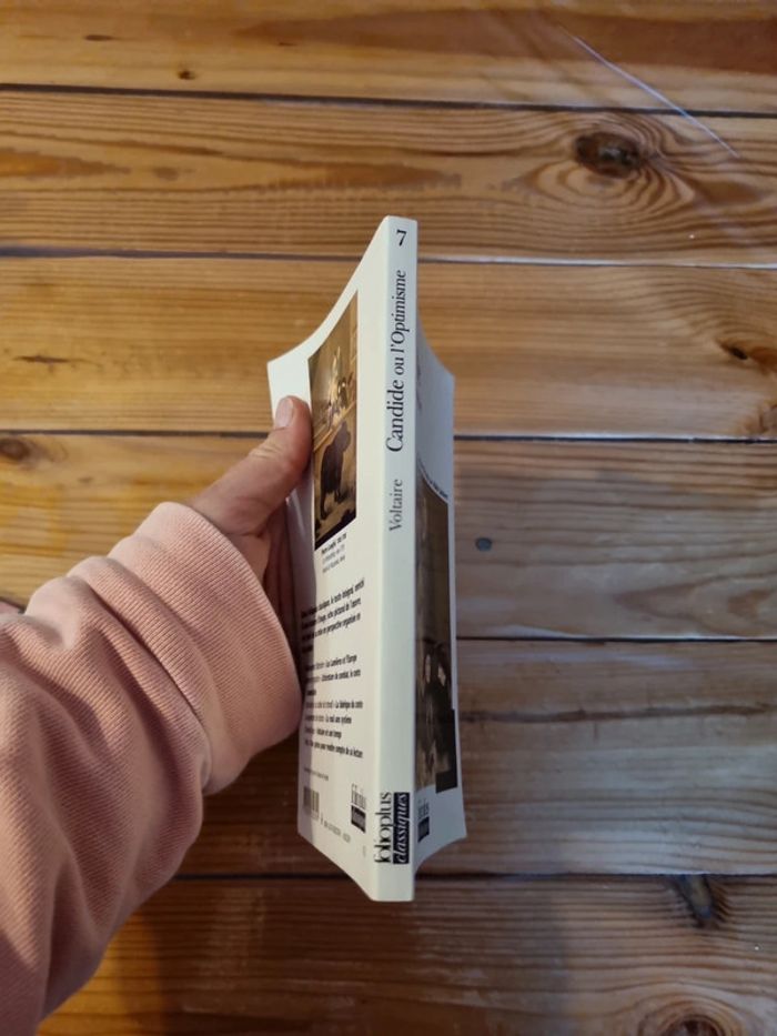 Candide ou l'optimisme - photo numéro 3