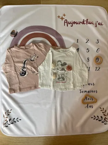 Lot de 2 t-shirts manches longues - 9 mois - Disney Baby & Bébérêve