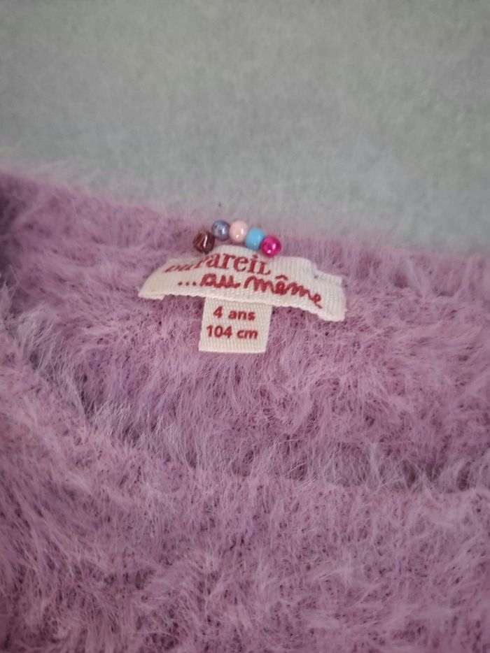 Pull du pareil au même 4 ans - photo numéro 2