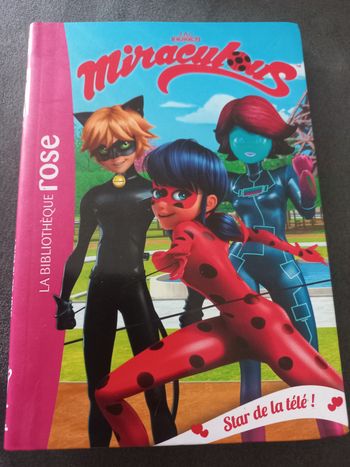 Livre roman bibliotheque rose miraculous tome 12