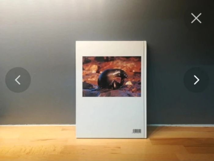 Livre phoques et otaries - photo numéro 2