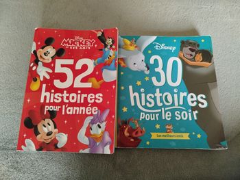 Lot livres Disney 