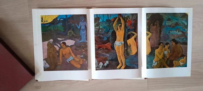 Paul Gauguin - Robert Goldwater - photo numéro 4