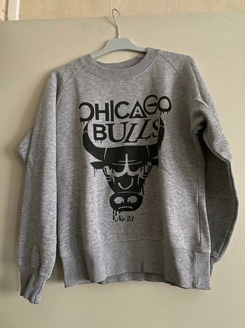 Pull Chicago Bulls