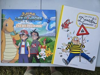 Lot de 2 livres ducobu et Pokémon