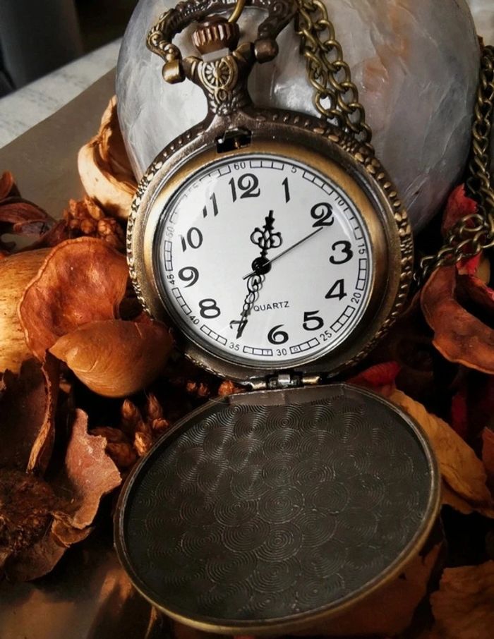 F76 Montre à gousset rétro vintage originale bronze - photo numéro 2