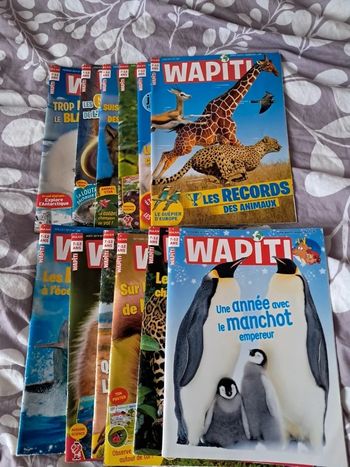 Lot 12 magazines wapiti