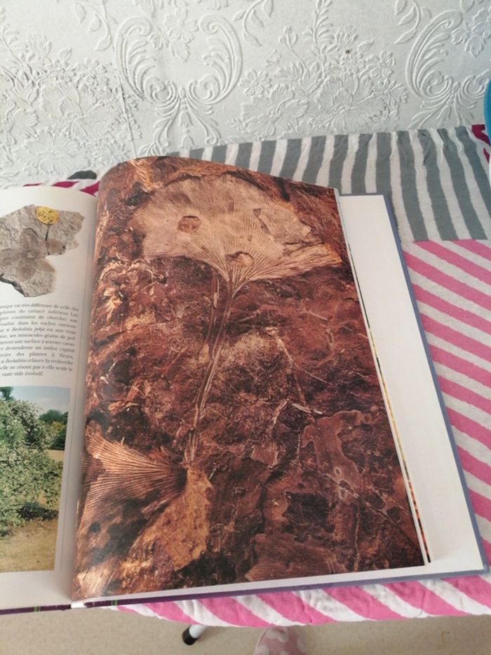 La terre avant l homme - photo numéro 5