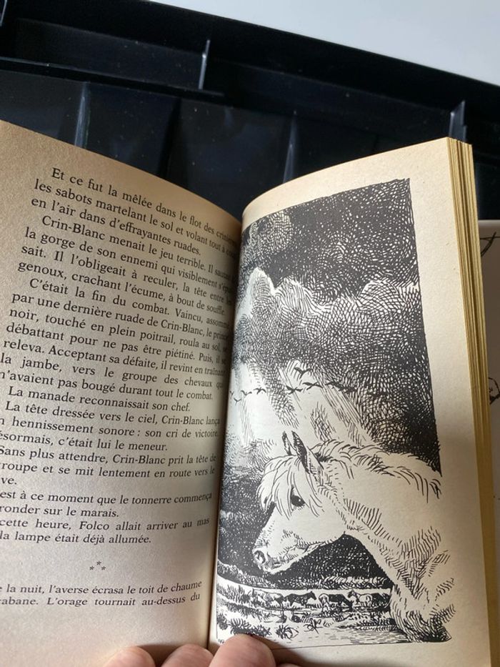 Crin, blanc de René Guillot - photo numéro 3