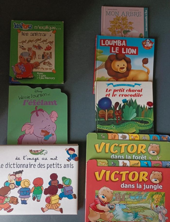 Lot de 8 livres en très bon état et bon état