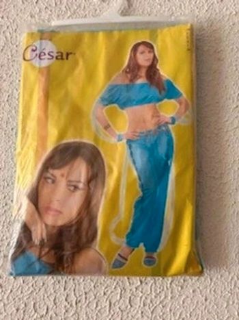 Déguisement jasmine TU