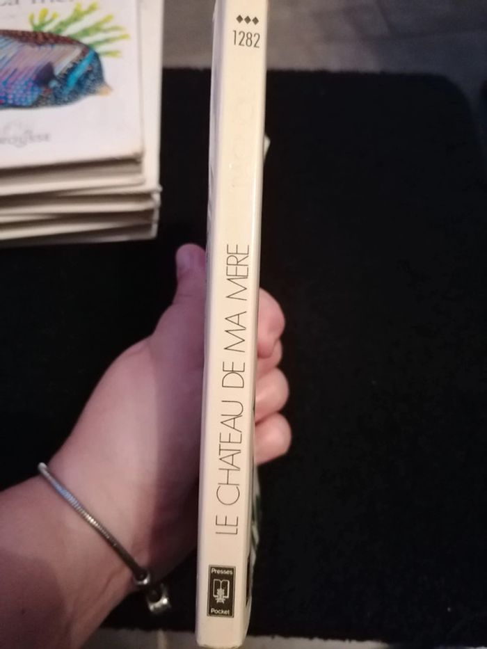 Livre le château de ma mère - photo numéro 3