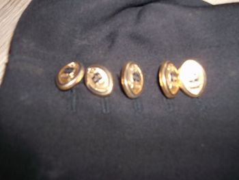 Lot de boutons EDEN PARK doré et marine, siglé, ovale TBE