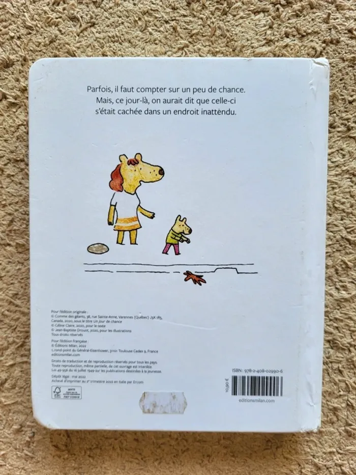 Livre enfant "Un jour de chance" de Céline Claire - photo numéro 2