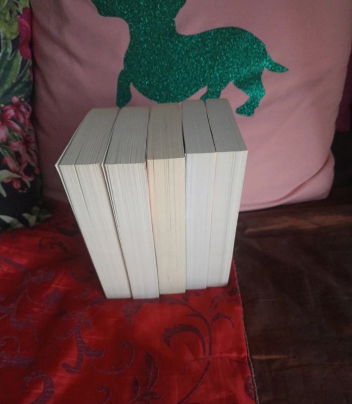 Collection de livres Minuit de Lara adrian Tome 1 à 5 - photo numéro 4