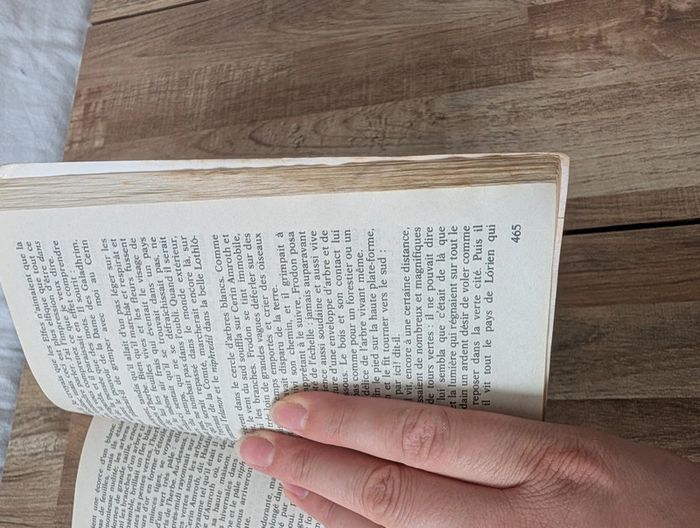 Lot livres le seigneur des anneaux - photo numéro 6